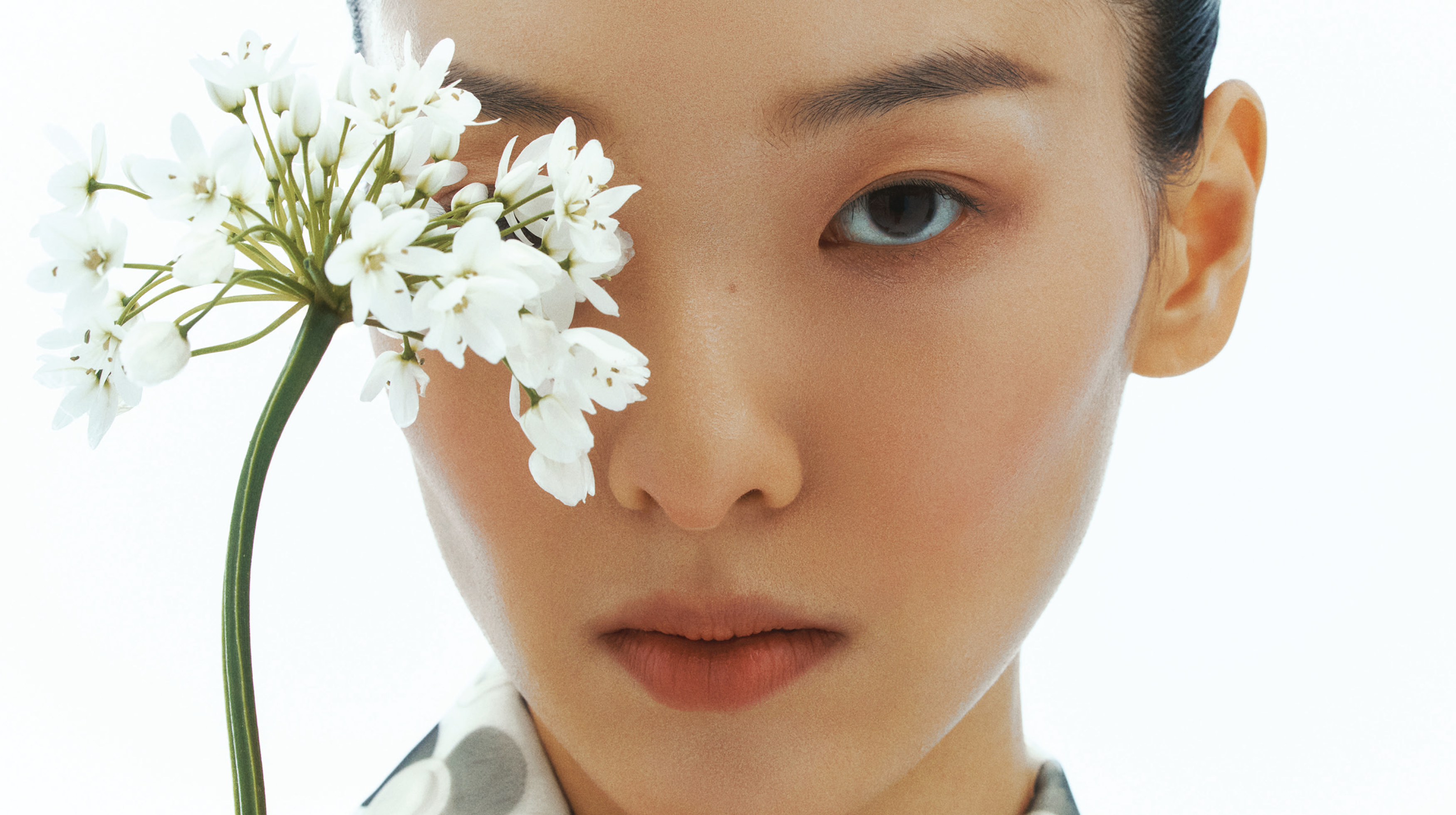 봄을 입은 시어 실루엣