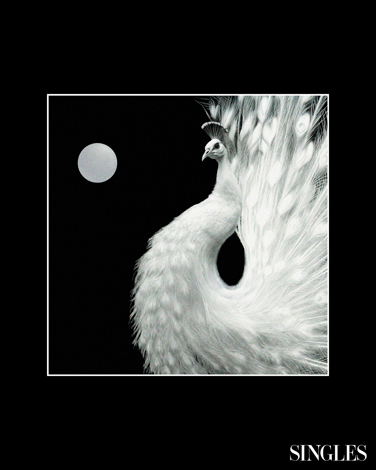 ZICO & Crush(지코 & 크러쉬) ‘Yin and Yang ’ ALBUM COVER ARTWORK