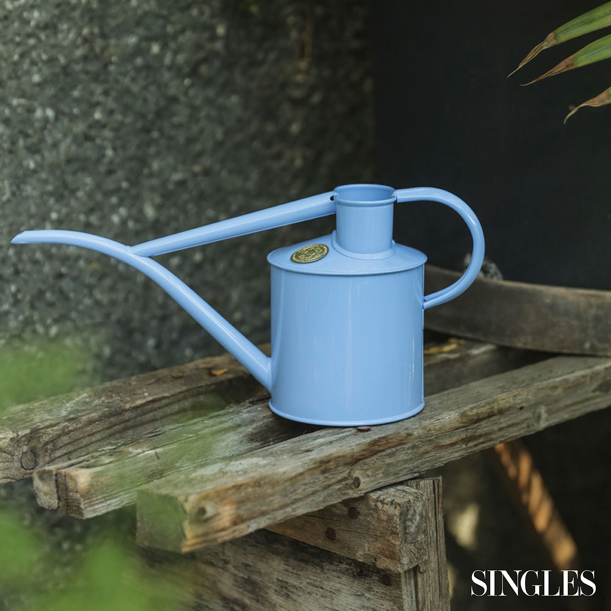 호스 더 페이즐리 플로우 by 마이알레