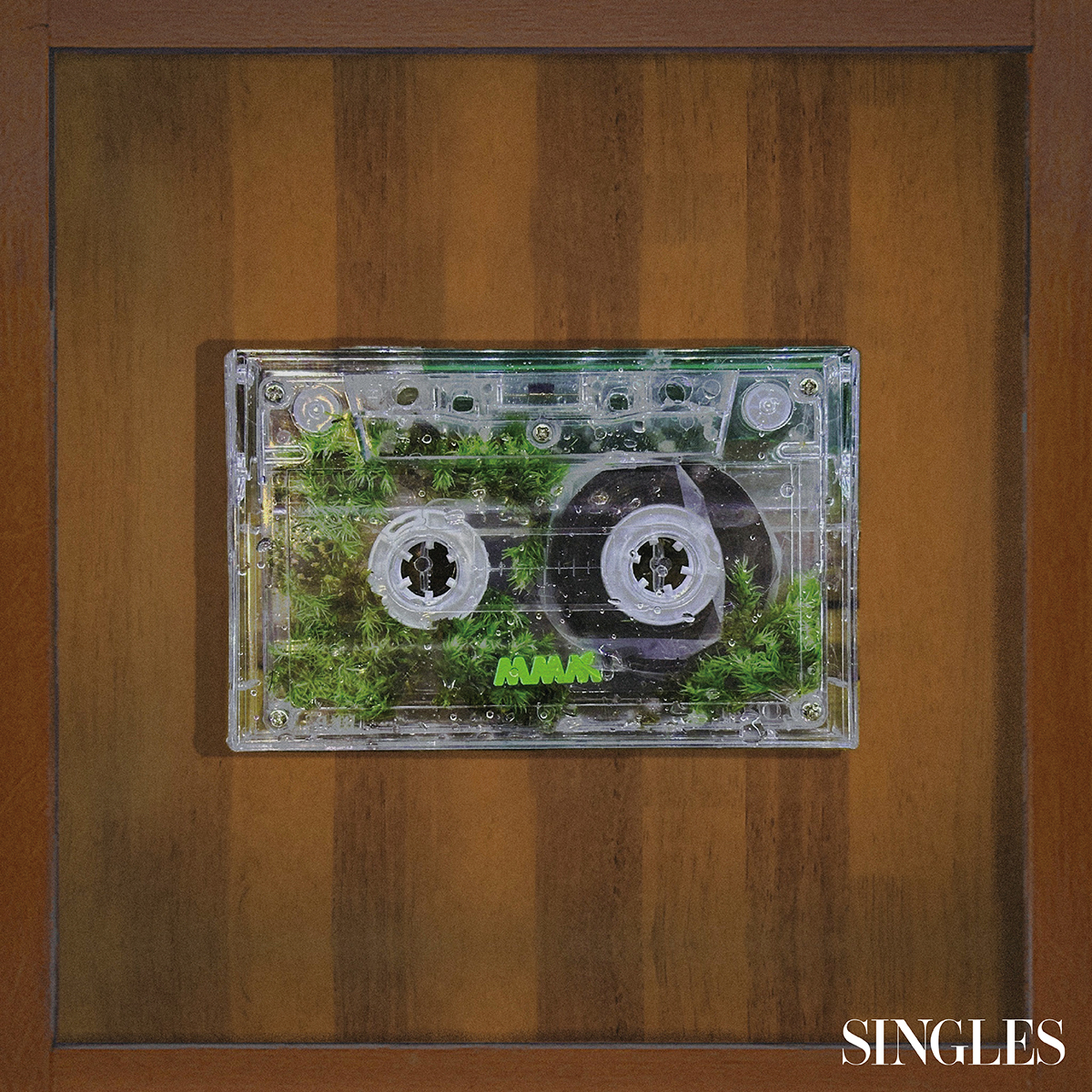 포우 카세트 테이프 테라리움