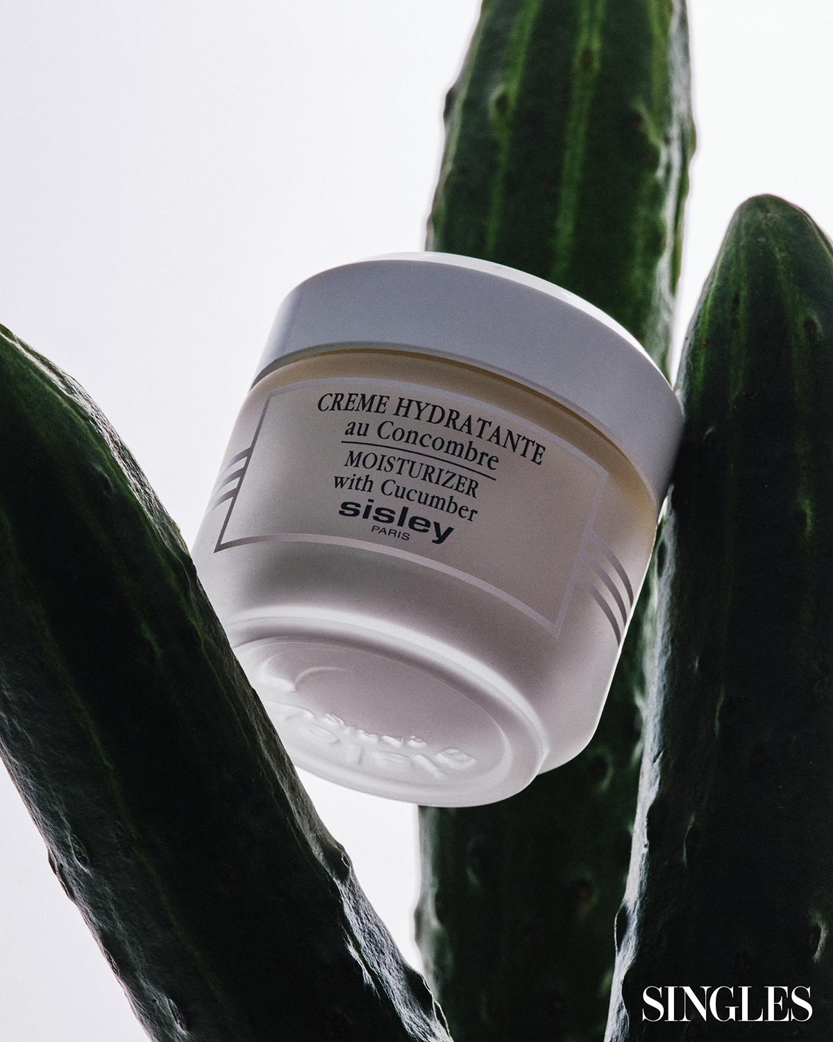 시슬리 끄렘므 이드라땅뜨 