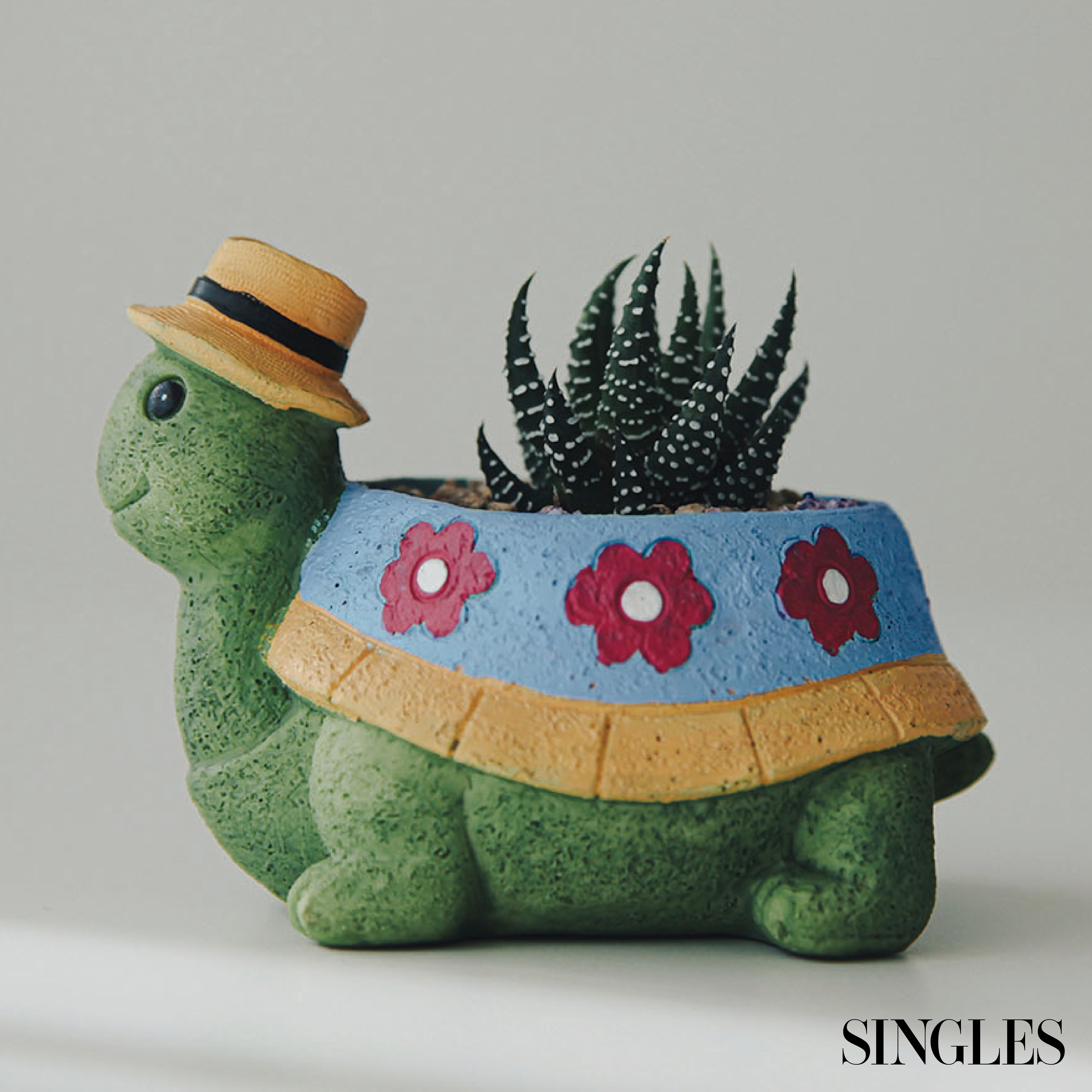 팻플랜트 거북이신사 십이지권 화분세트