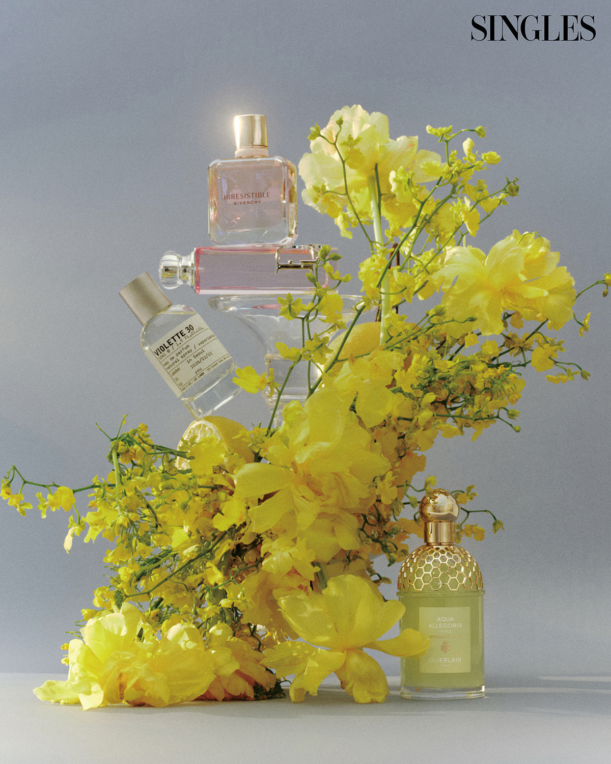 싱글즈 3월 호 봄 신상 향수 이미지