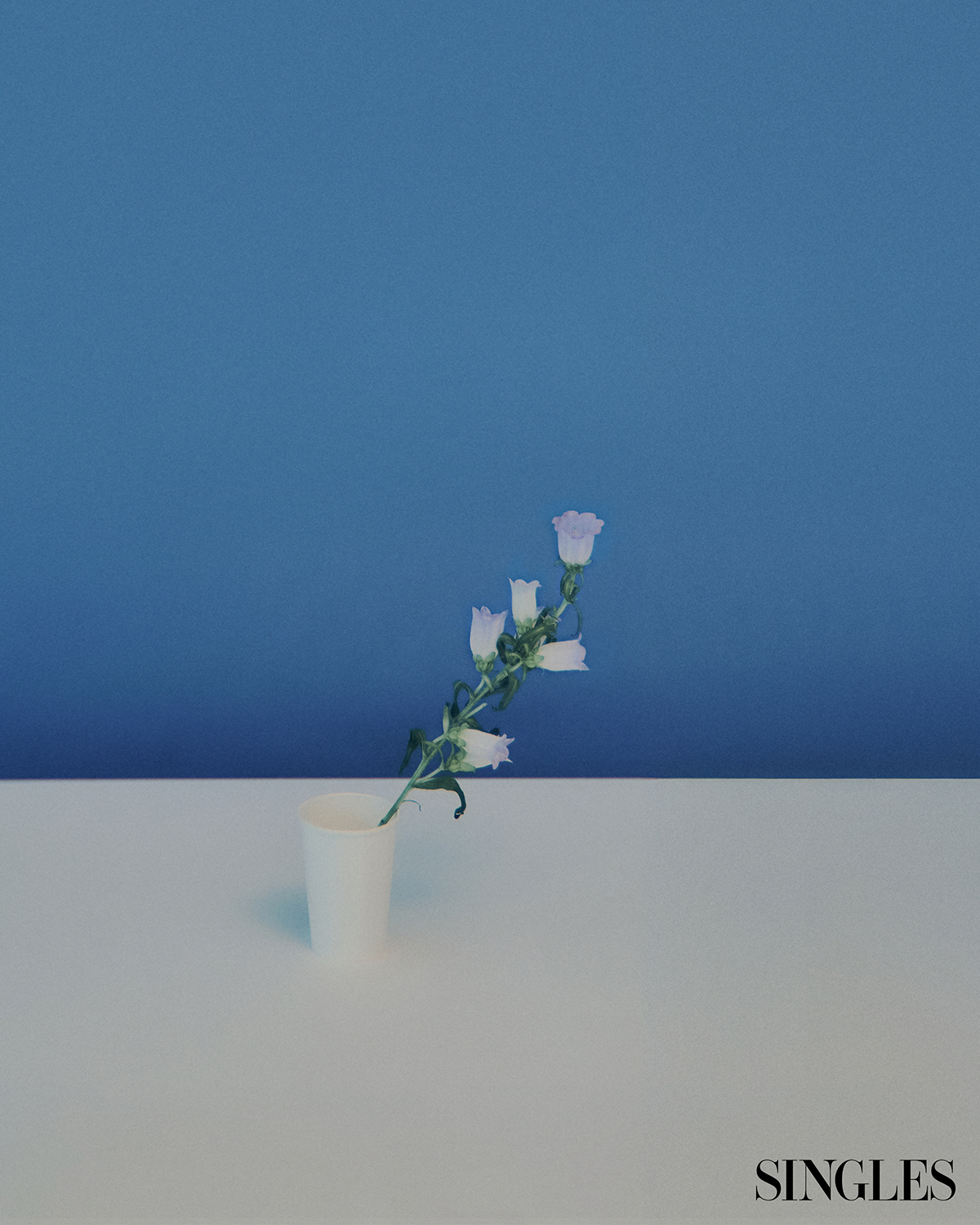 싱글즈 3월 호 가드닝 다이어리 이미지