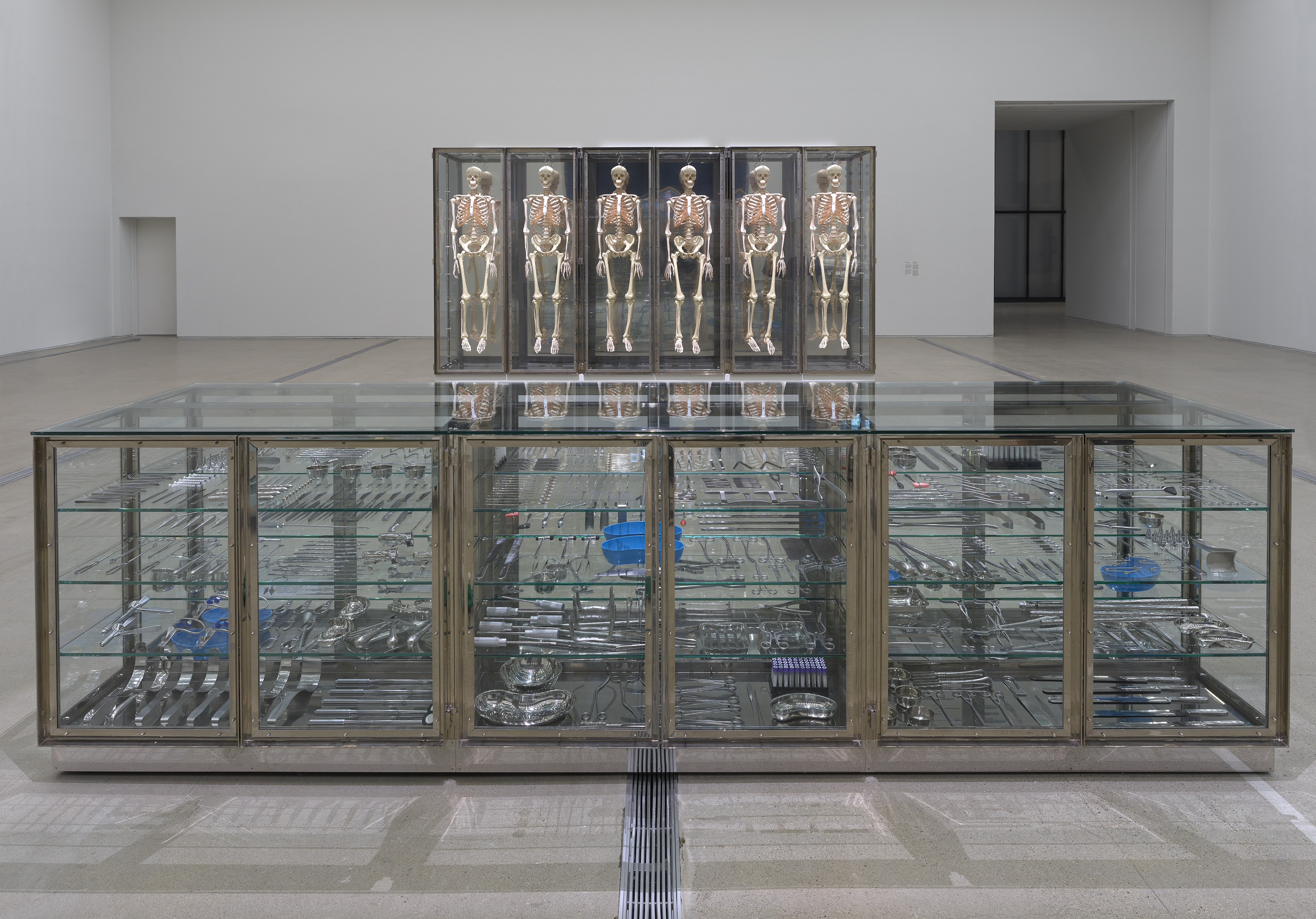 데이미언 허스트 국립현대미술관 <데이미언 허스트 : 진실은 없어 그러나 모든 것은 가능하지> 전시 전경