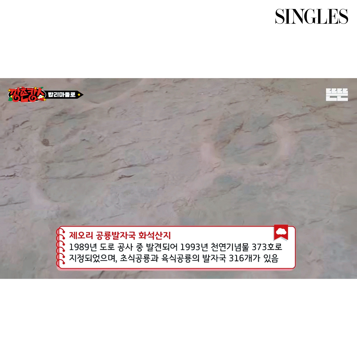 의성 제오리 공룡발자국