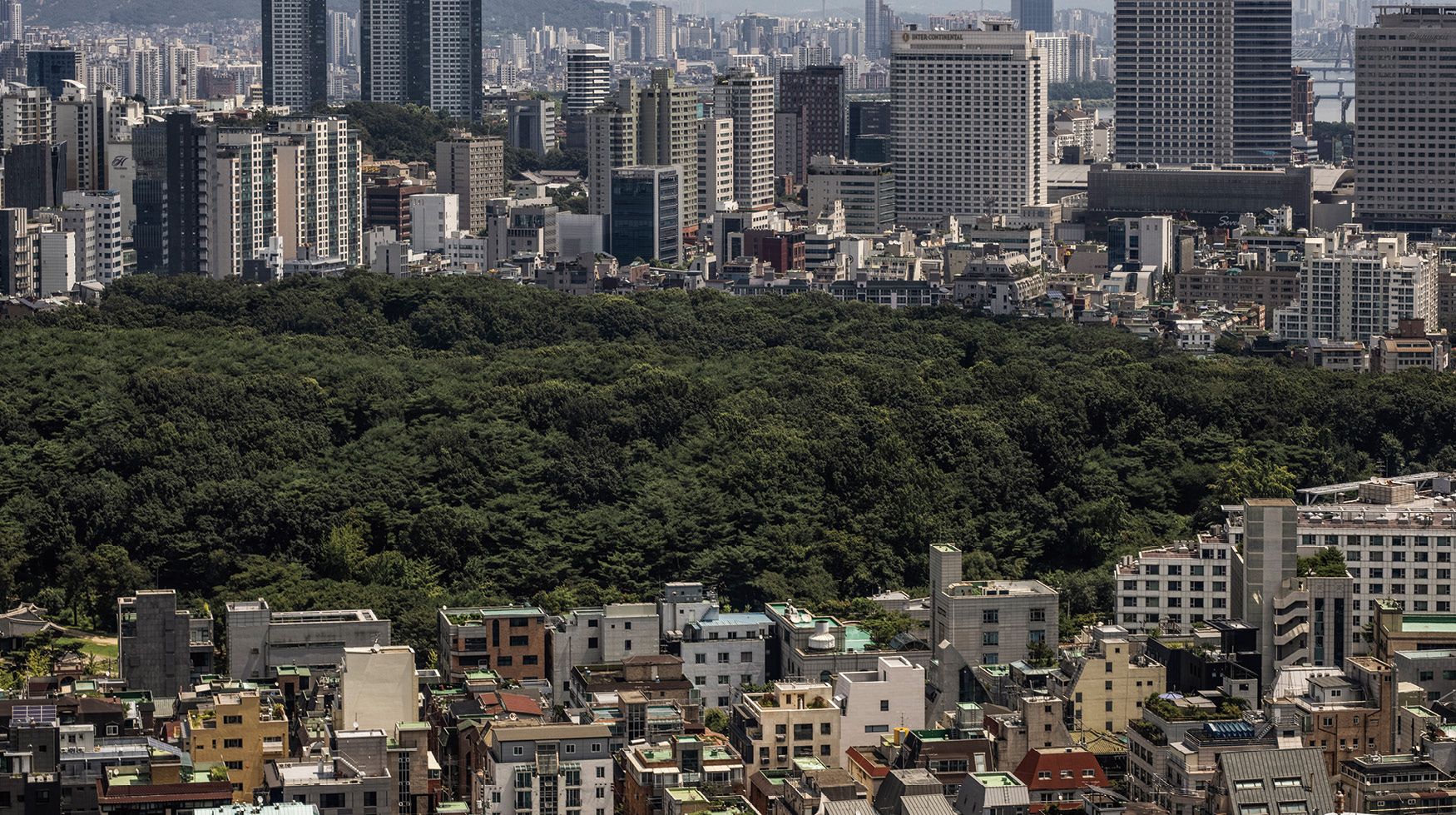 THIS IS SEOUL -  홍기웅