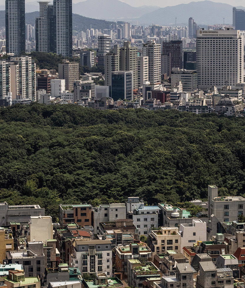 THIS IS SEOUL -  홍기웅