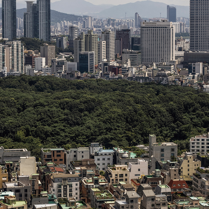 THIS IS SEOUL -  홍기웅